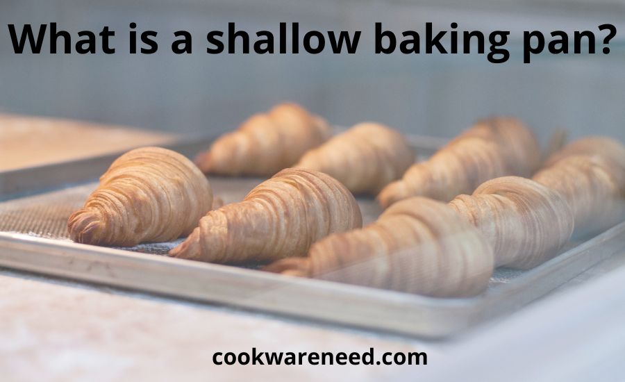 What is a shallow baking pan: top 5 types & super guide